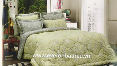 Everon PL 1701